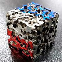 生体骨を模倣した新たな多孔質構造の開発