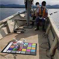 藻場の資源量調査方法