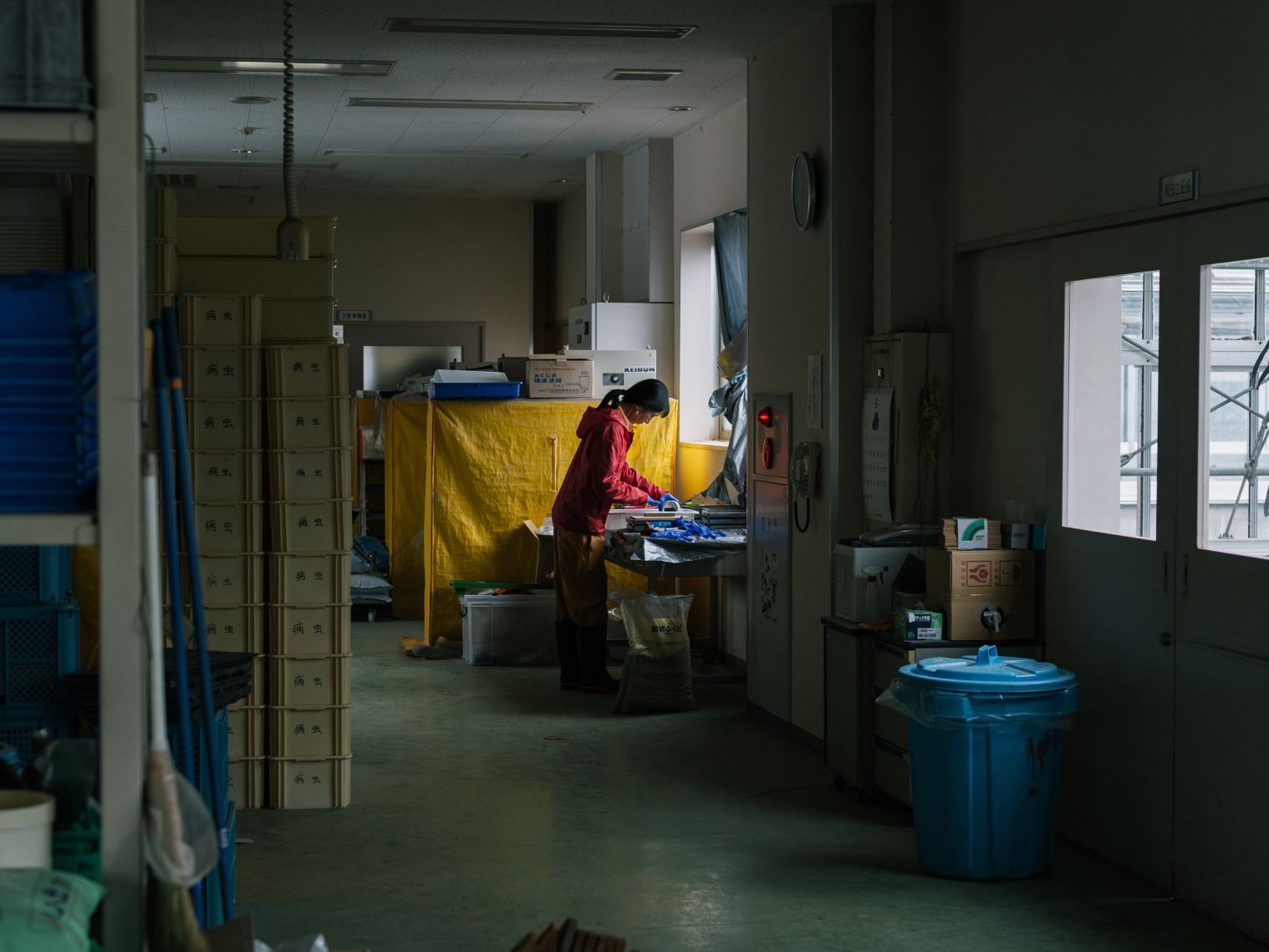 培土を注ぐ研究員