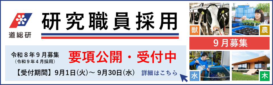 研究職員採用（令和８年９月募集）