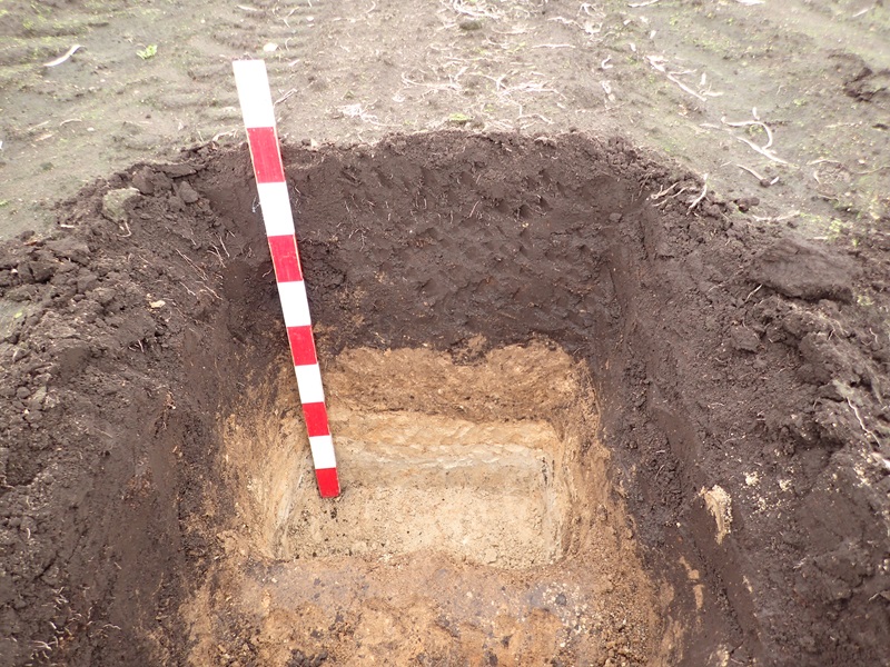 リモセン干湿害診断（20美幌）800pic